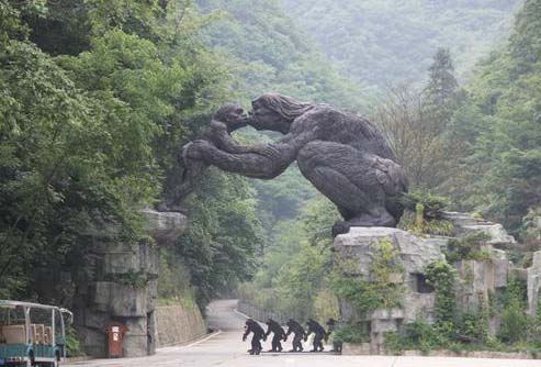 鿴!